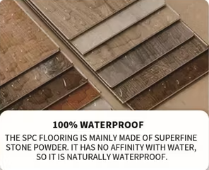 20250227160612 20250227160612